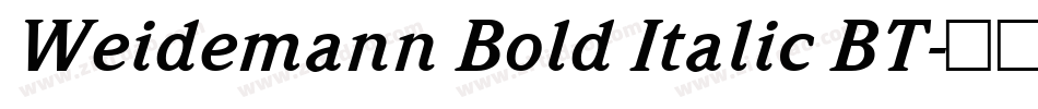 Weidemann Bold Italic BT字体转换